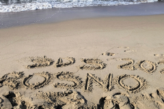 IMG_20250911_154014332_AE